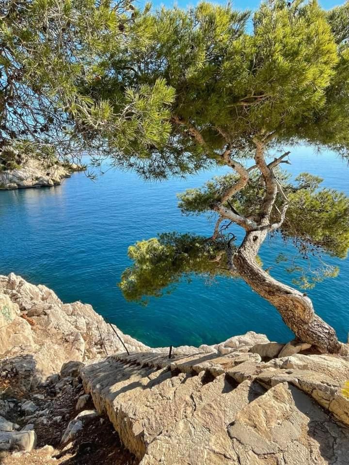 Villa Calanques 앙수에-라-레돈느 객실 사진